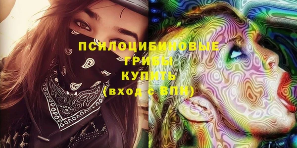 молекула духа Бугульма